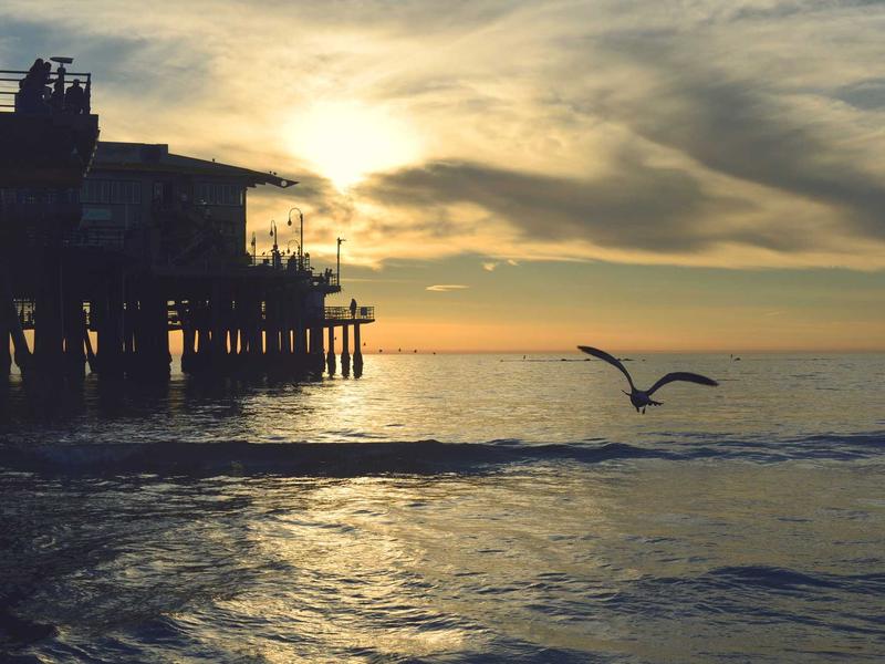 百年孤独<br>uwsuuyl.cn 马孔多雨季